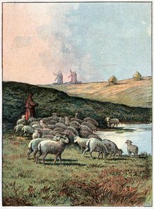 Troupeau de moutons - Unknown